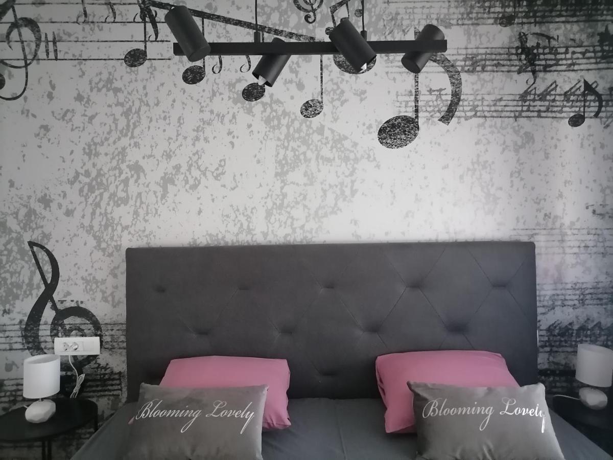 זאדאר Piano Penthouse Apartment מראה חיצוני תמונה